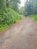 Photo of Cratloe