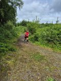 Photo of Cratloe