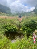 Photo of 3 Counties Trail/S. Luachra