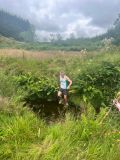 Photo of 3 Counties Trail/S. Luachra