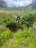 Photo of 3 Counties Trail/S. Luachra
