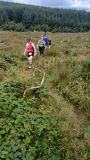 Photo of 3 Counties Trail/S. Luachra