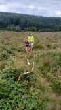 Photo of 3 Counties Trail/S. Luachra