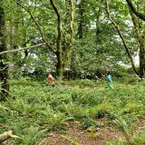 Photo of Currabinny Trail