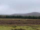 Photo of Nav Challenge 1 - Comeraghs