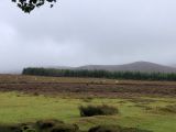 Photo of Nav Challenge 1 - Comeraghs