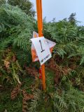 Photo of Nav Challenge 1 - Comeraghs