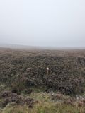 Photo of Nav Challenge 1 - Comeraghs