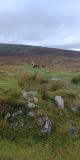 Photo of Nav Challenge 1 - Comeraghs