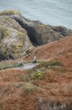 Photo of Howth Winter