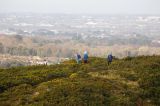 Photo of Howth Winter