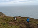 Photo of Howth Winter