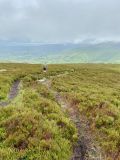 Photo of Blackstairs Mountain