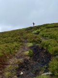 Photo of Blackstairs Mountain