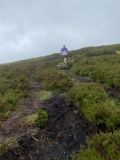 Photo of Blackstairs Mountain