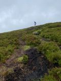 Photo of Blackstairs Mountain