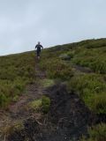 Photo of Blackstairs Mountain