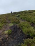 Photo of Blackstairs Mountain