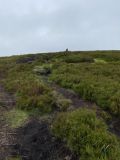 Photo of Blackstairs Mountain