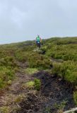 Photo of Blackstairs Mountain
