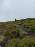 Photo of Blackstairs Mountain