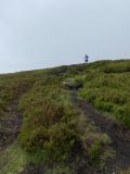 Photo of Blackstairs Mountain