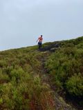 Photo of Blackstairs Mountain