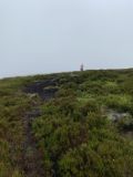 Photo of Blackstairs Mountain