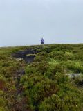 Photo of Blackstairs Mountain
