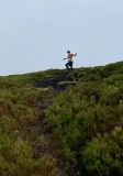 Photo of Blackstairs Mountain
