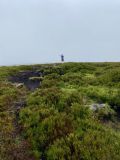 Photo of Blackstairs Mountain