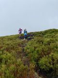 Photo of Blackstairs Mountain