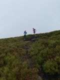 Photo of Blackstairs Mountain