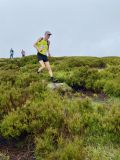 Photo of Blackstairs Mountain