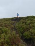 Photo of Blackstairs Mountain
