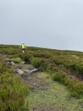 Photo of Blackstairs Mountain