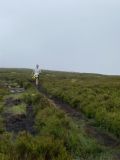 Photo of Blackstairs Mountain