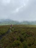 Photo of Blackstairs Mountain