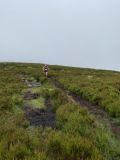 Photo of Blackstairs Mountain
