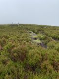 Photo of Blackstairs Mountain