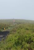 Photo of Blackstairs Mountain