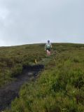 Photo of Blackstairs Mountain