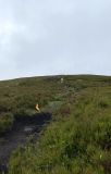 Photo of Blackstairs Mountain