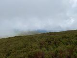 Photo of Blackstairs Mountain