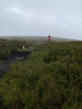 Photo of Blackstairs Mountain