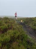 Photo of Blackstairs Mountain