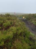 Photo of Blackstairs Mountain