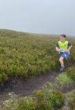 Photo of Blackstairs Mountain