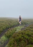 Photo of Blackstairs Mountain