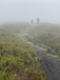 Photo of Blackstairs Mountain